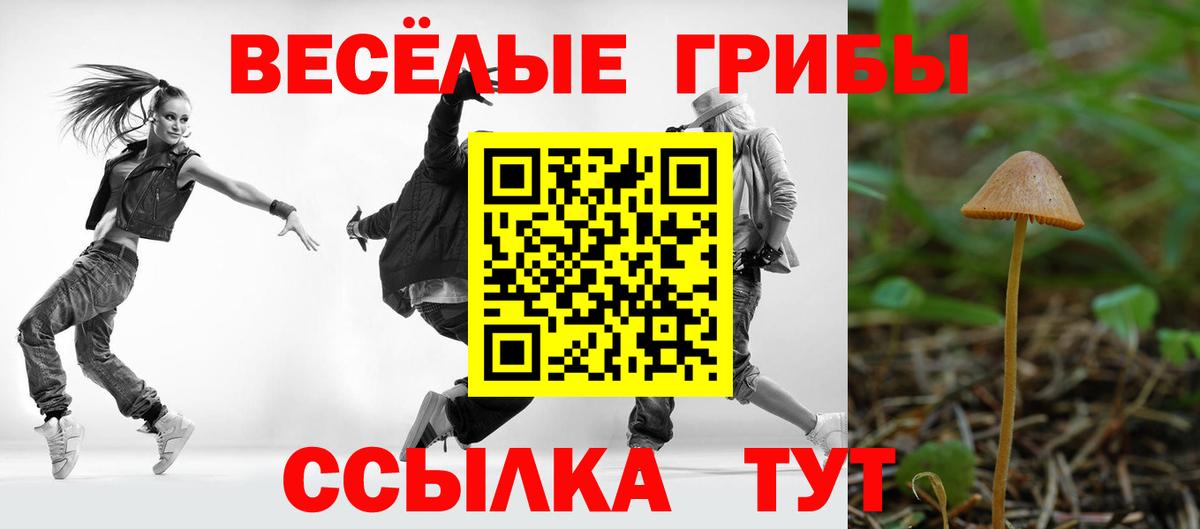 Галлюциногенные грибы мухоморы Миасс